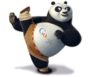 Google Panda Guide - Digital Marketers India